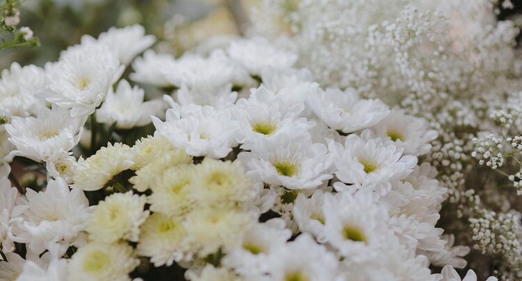 Чем профессионалы вытравливают трипса из свежих срезанных цветов