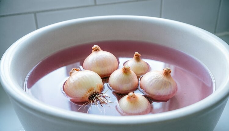 В чем замачивать севок – 5 вариантов - фото