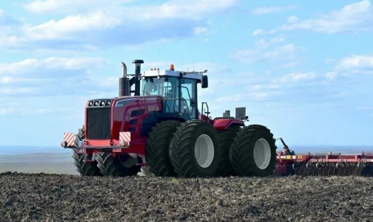 Площади под гречихой на 12 процентов увеличивает Саратовская область - фото