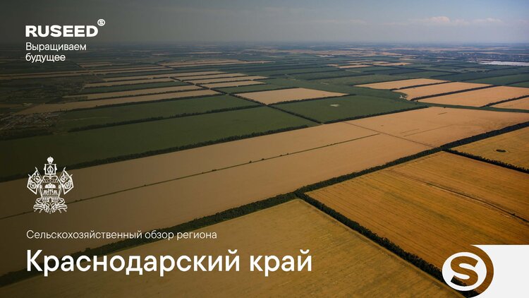 Обзор сельского хозяйства Краснодарского края от аналитического центра RUSEED