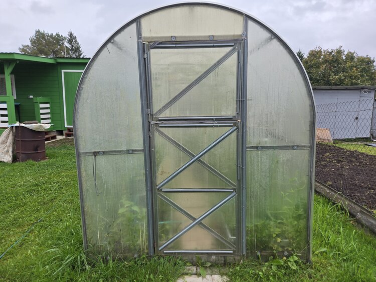 Как бороться с болезнями и вредителями в теплице весной