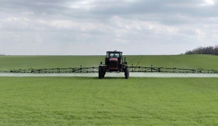 Сорняки хорошо перезимовали на ставропольских полях: нужна масштабная химпрополка - фото