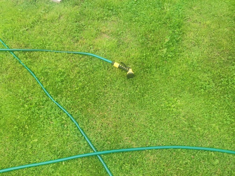 Как безопасно подкармливать растения - фото