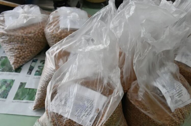 Лицензионное соглашение при покупке семян и фермерская льгота: что важно знать