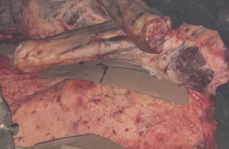 Гражданин Беларуси не смог объяснить, зачем колесил по Смоленской области с тонной говядины 