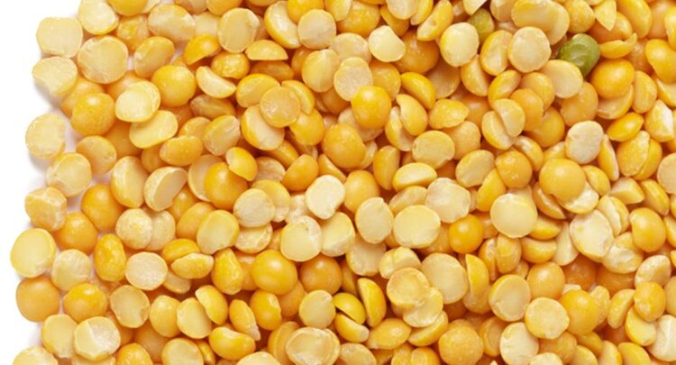 Крупная партия алтайского гуманитарного гороха отправилось в Мали - фото