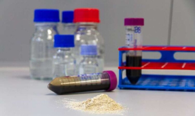 Удобрения можно производить из местных ресурсов, а не из ископаемого топлива: новые технологии - фото