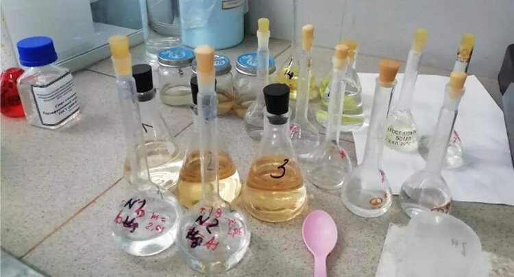 Из Красноярского края папоротник со вкусом белого гриба поставляют в Казахстан