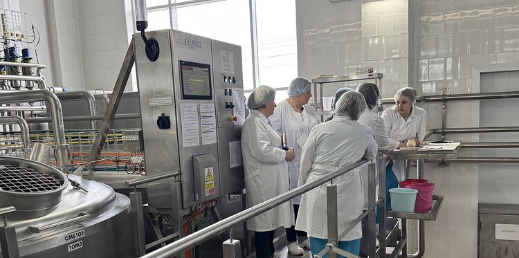 Сыр «Российский» впервые выработали на заквасках Угличской биофабрики