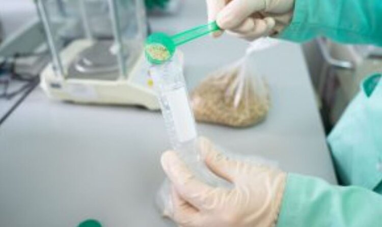 Китайская делегация проинспектирует алтайских производителей пшеничных отрубей