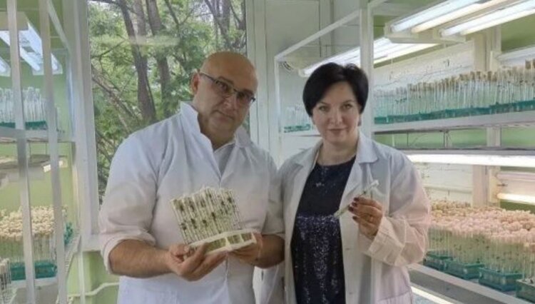 Новгородские картофелеводы переходят на биотехнологический посадочный материал