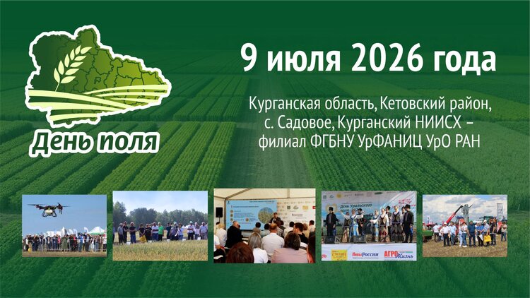 Выставка «День Поля-2026» в Курганской области состоится в июле