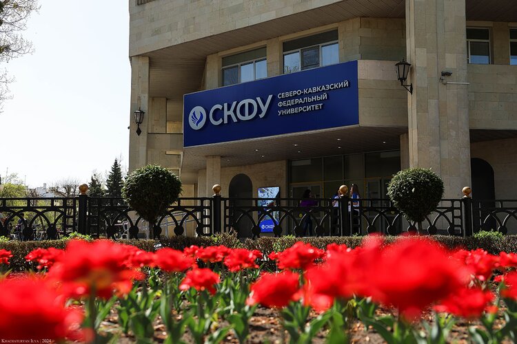 В России планируют создать единый реестр домашних животных: комментарии экспертов СКФУ - фото