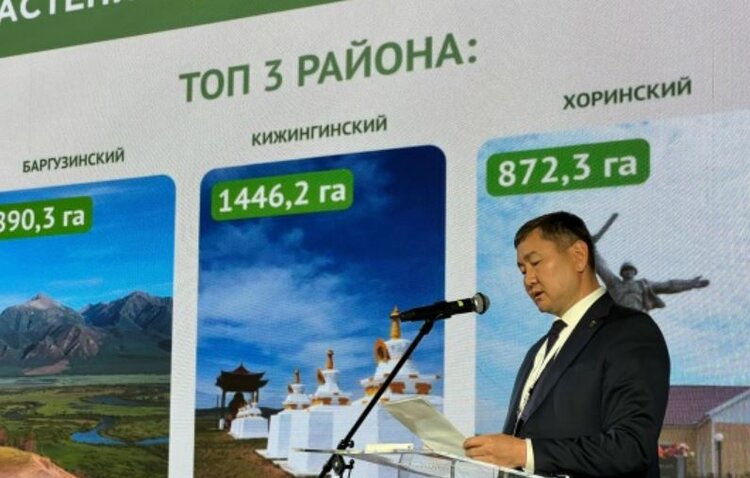 Лекарственные культуры в Бурятии в этом году займут 474 га: ожидаются китайские инвесторы