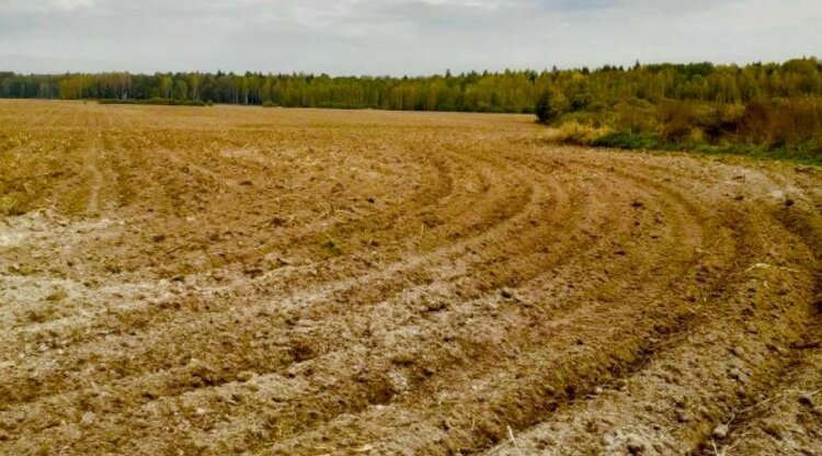 Плодородие владимирских почв повышают известкованием