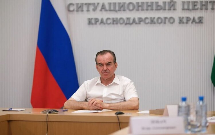 Кубанская озимая пшеница 2026 дает прибавку урожайности в 10% - фото