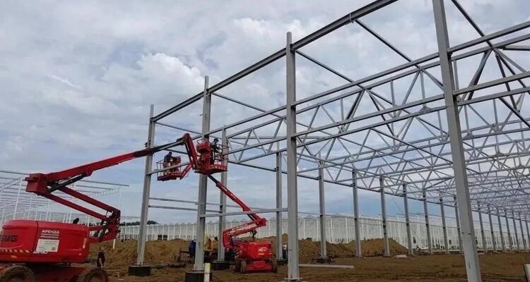 Более 10 миллиардов рублей вложено в строительство нового тепличного мегакомплекса в Омской области