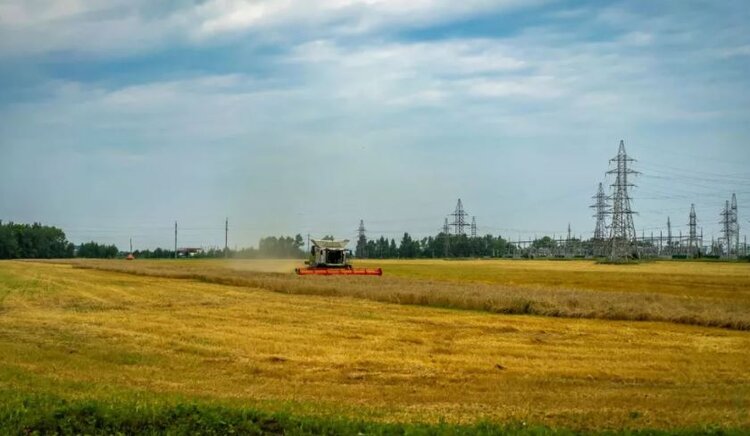 У аграриев Башкортостана проблем с топливом в уборочную нет - фото