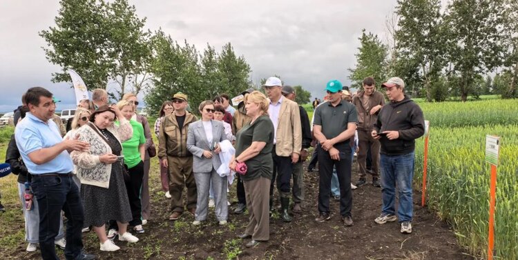 На Дне Забайкальского поля 2026 продемонстрировали испытания сортов