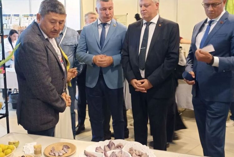 Сорта фиолетового картофеля, вкусной груши и крыжовника представил ЮУНИИСК на «Агро 2026» - фото