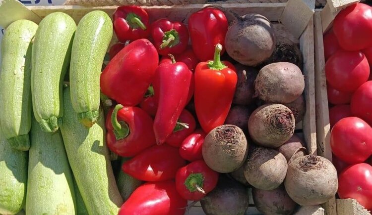 Средняя урожайность овощных культур Ставрополья на 7% превысила прошлогоднюю