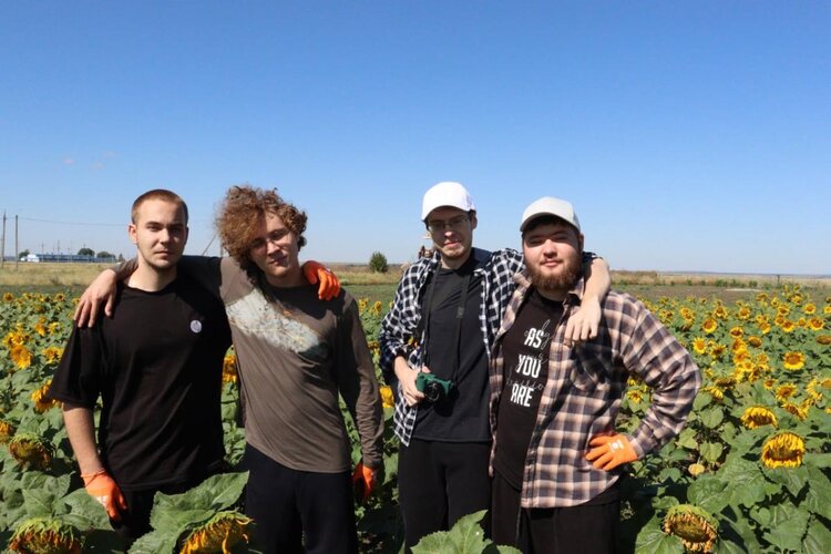 Фертильная прополка с ИИ: проект AgroWeed выехал в поле для сбора снимков подсолнечника  - фото