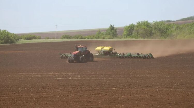 Озимый сев в Оренбуржье под урожай 2027 набирает темп