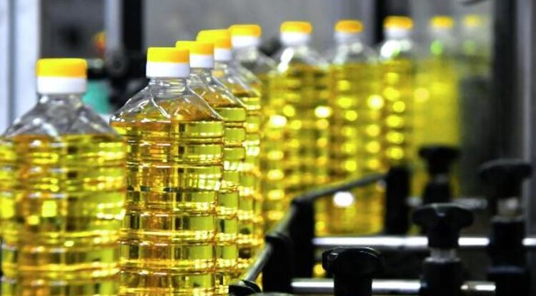 Производство растительных масле в Саратовской области будет только увеличиваться - фото