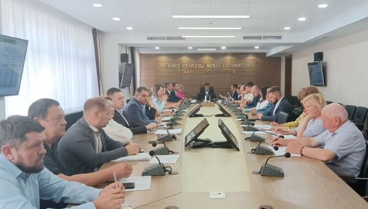 Как складывается структура озимых посевных площадей в Ставропольском крае под урожай 2027 - фото