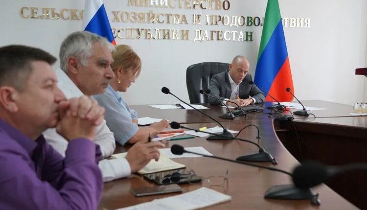 Дагестан отправил свыше 1,2 тысячи тонн баранины в регионы России и за рубеж с начала 2026 года - фото