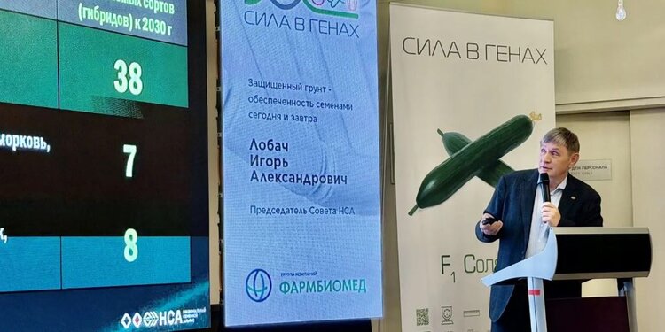 Как должны развиваться семеноводство и селекция российских овощных культур: мнение эксперта