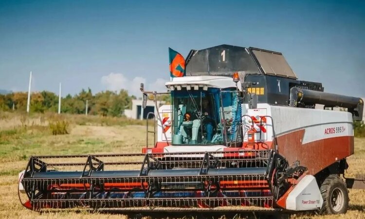 Уборочную в Кузбассе завершат до 20 октября. Урожайность хорошая