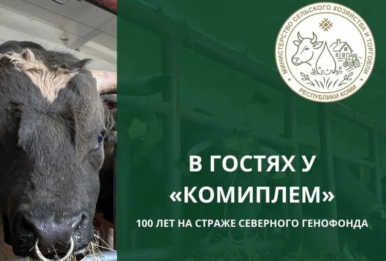 РГУСП «Коми» по племенной работе отмечает вековой юбилей праздничным мероприятием  - фото