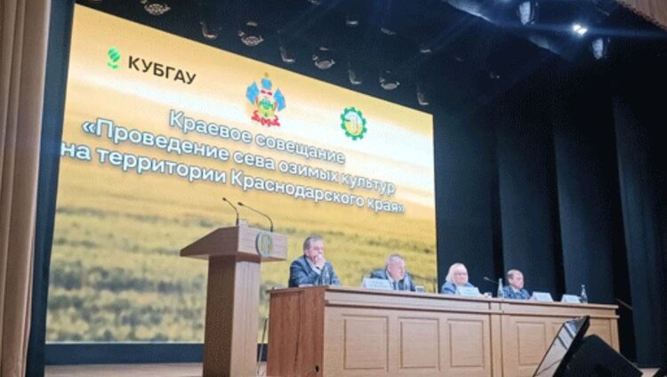 Озимый клин Кубани под урожай 2027 превысит 1,8 миллиона гектаров - фото