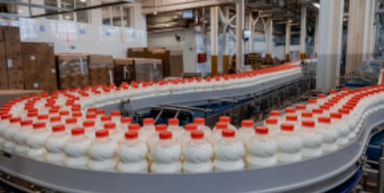 Рекордное количество молочной продукции отправили производители Липецкой области за рубеж в 2026 году - фото