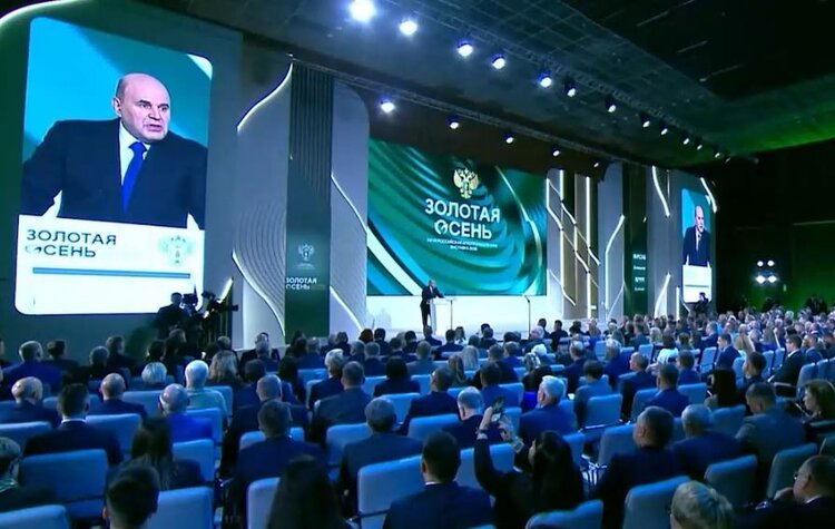 Какую помощь предоставит государство аграриям зерновых регионов в ближайшее время, сказал Михаил Мишустин