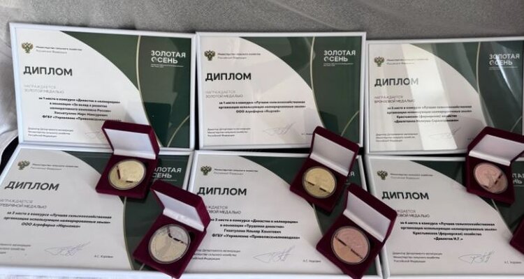Мелиораторам Татарстана достались все призовые места на «Золотой осени 2026» - фото