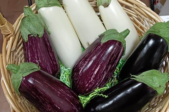 Рязанская область становится баклажановым раем - фото