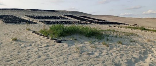 Технологию скоростного оживления почвы с зоогумусом разработали белгородские учёные - фото