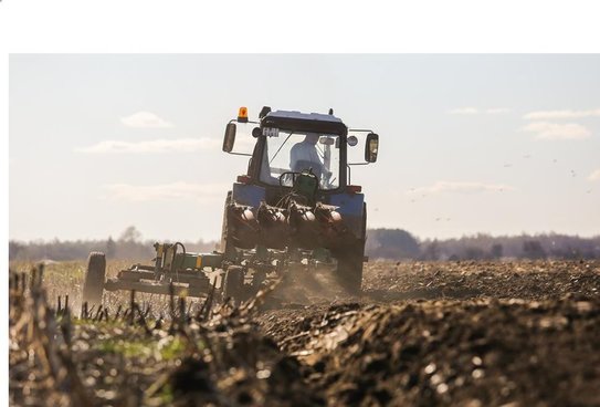 В Приморском крае в 2026 году увеличат посевные площади под кукурузой