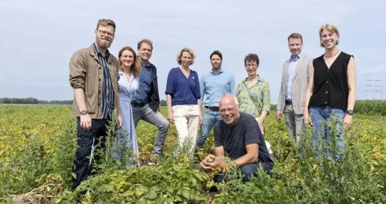 Пилотный проект по значительному сокращению пестицидов на фруктах и овощах в Нидерландах успешен