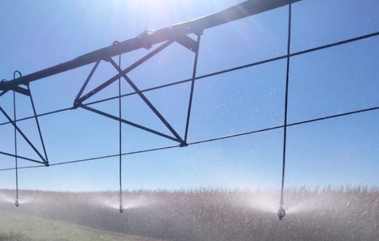 Тамбовская область реализовала запланированные на 2025 год работы по гидромелиорации сельскохозяйственных угодий