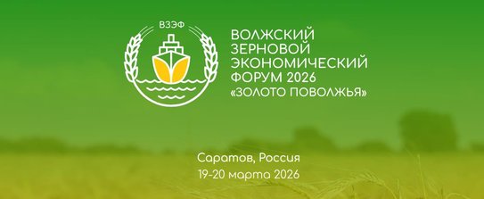 Волжский зерновой экономический форум «Золото поволжья» состоится в Саратове