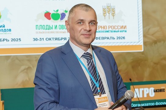 Стратегия зерна