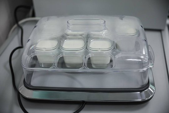 Таксифолин из лиственницы повысит иммунитет благодаря разработке СКФУ