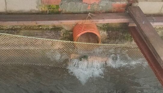 Пермский форелевод оштрафован после визита прокуратуры и Россельхознадзора