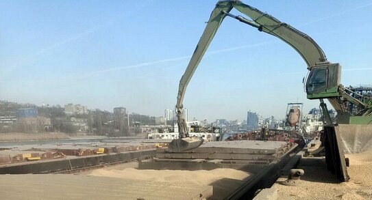 Ростовская область возобновила экспорт ряда сельскохозяйственных культур