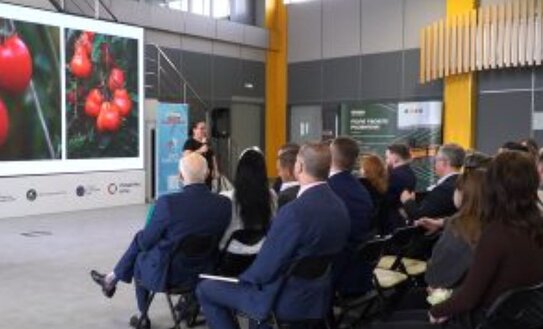 День производителей органической продукции в Белгородской области прошел с участием Россельхознадзора