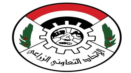 Приравнять к экономическому преступлению продажи импортных продуктов питания при наличии местных аналогов предложили в Йемене - фото