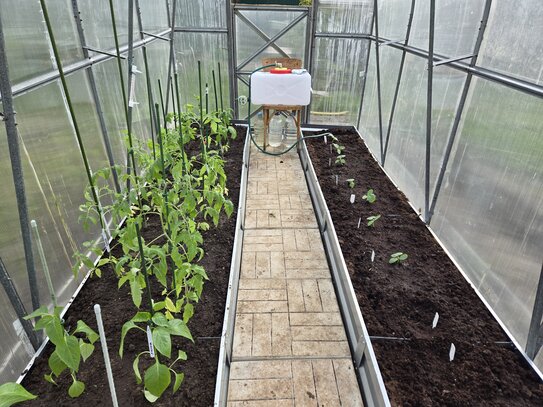 Главные ошибки, которых следует избегать в теплице весной - фото